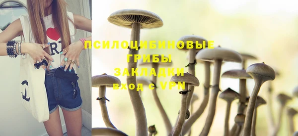 стафф Волоколамск