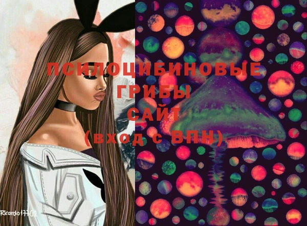 стафф Волоколамск
