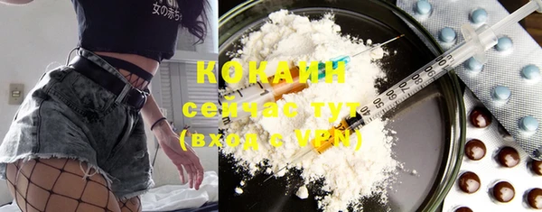 стафф Волоколамск