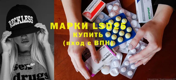 apvp Вяземский