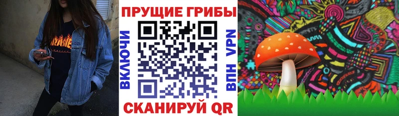 mega зеркало  Вичуга  Псилоцибиновые грибы Psilocybine cubensis 