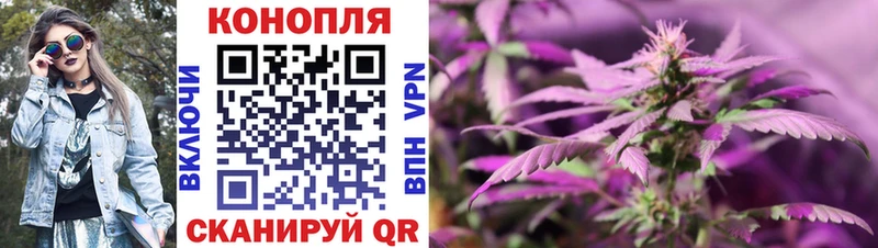 Канабис план  купить наркоту  Вичуга 